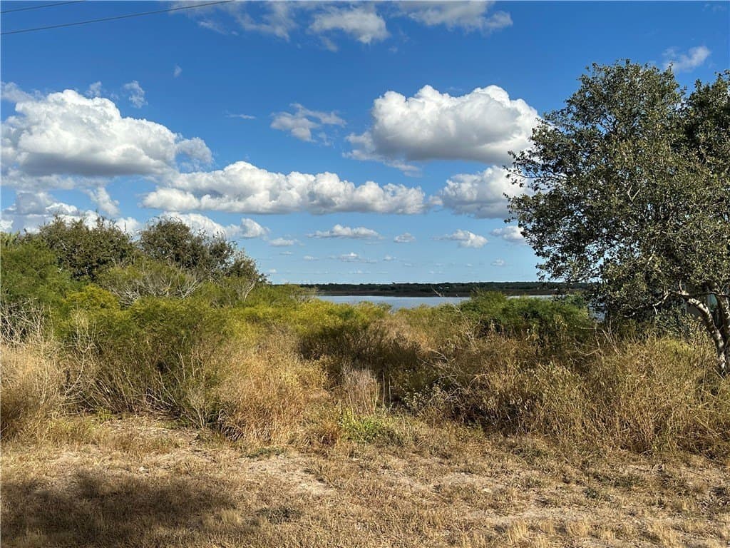 0.59 acres in Live Oak County gallery image 4