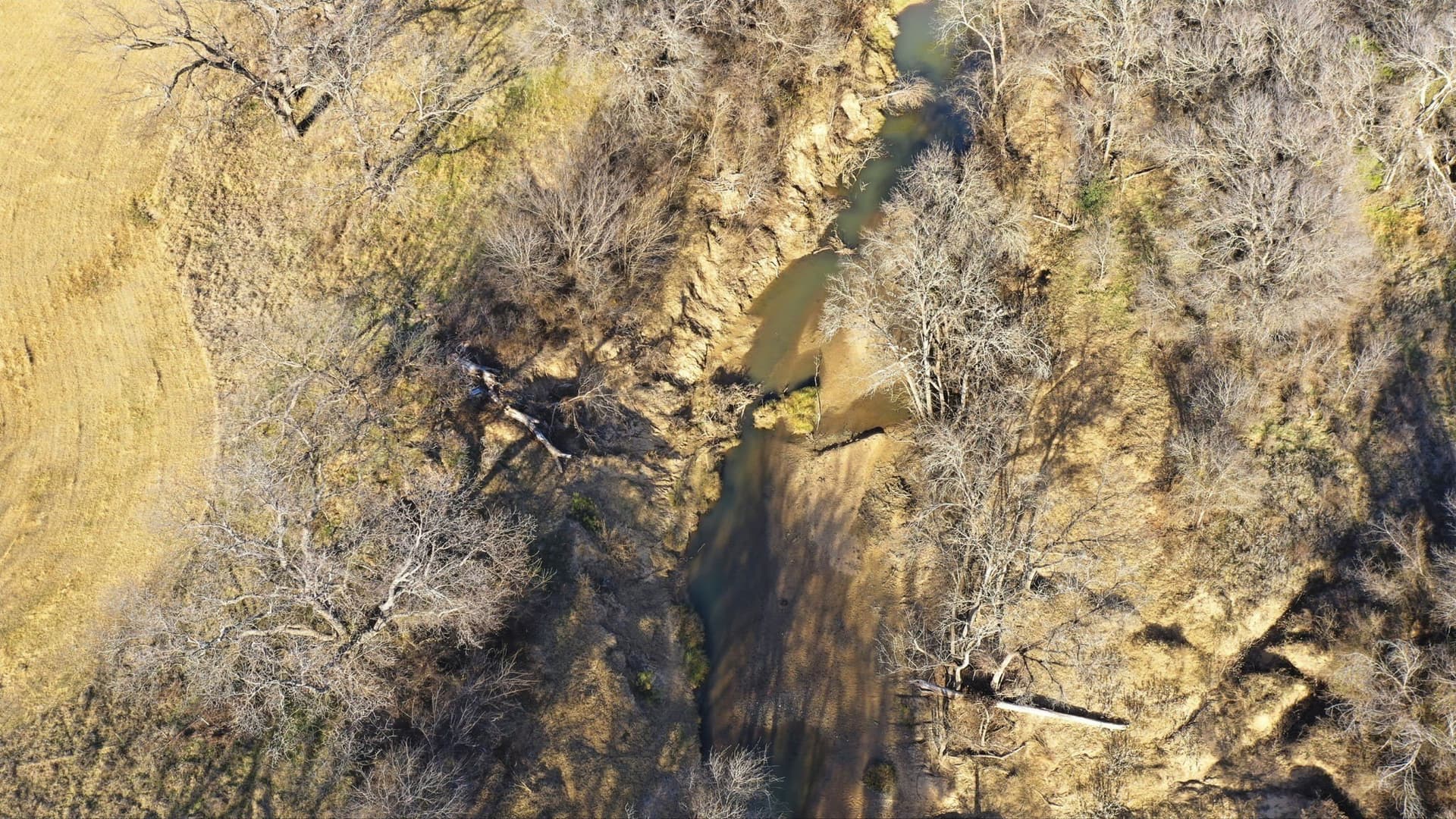75 acres in Palo Pinto County - photo 5