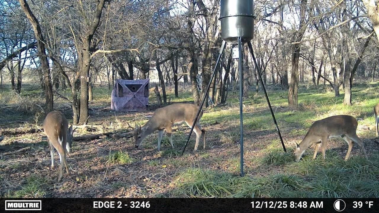 75 acres in Palo Pinto County - photo 22