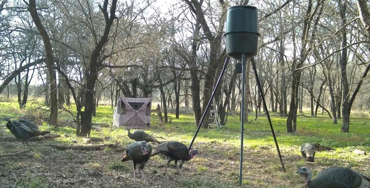 75 acres in Palo Pinto County - photo 24