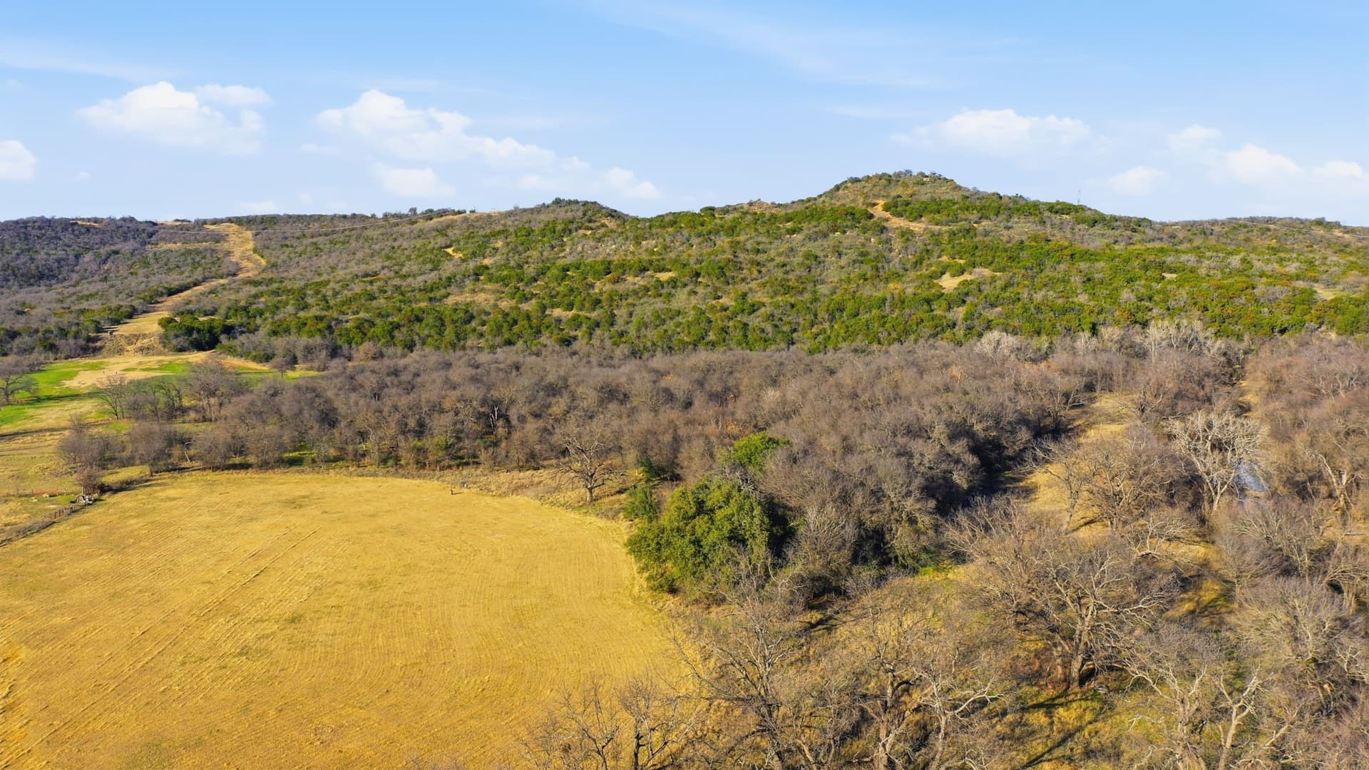 75 acres in Palo Pinto County - photo 10