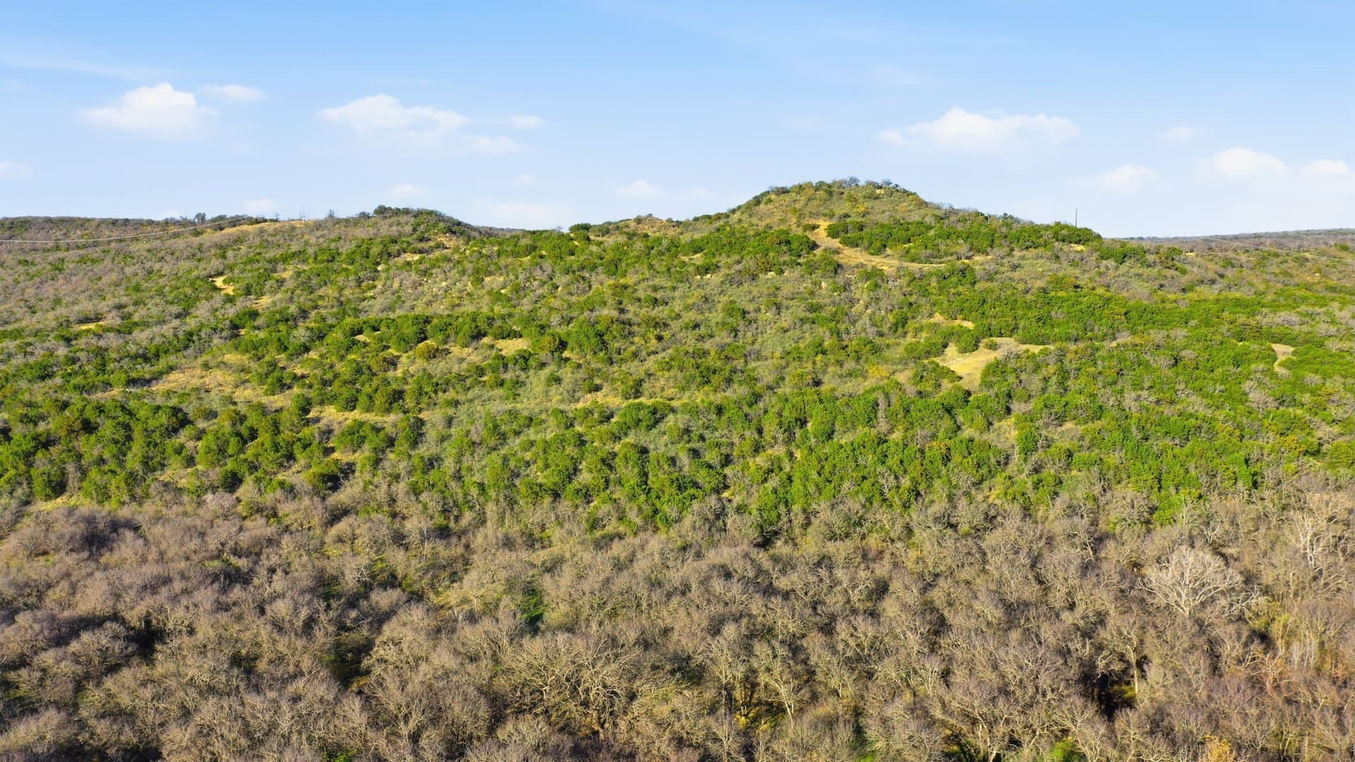 75 acres in Palo Pinto County - photo 15