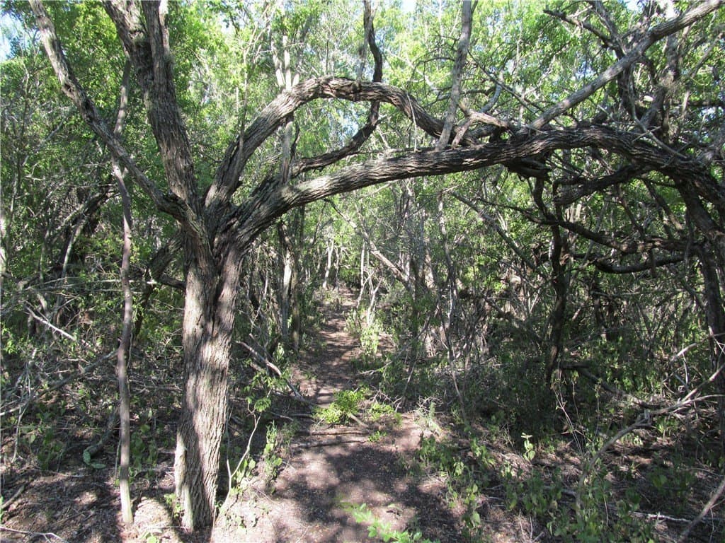 100,000 acres in Live Oak County - photo 27