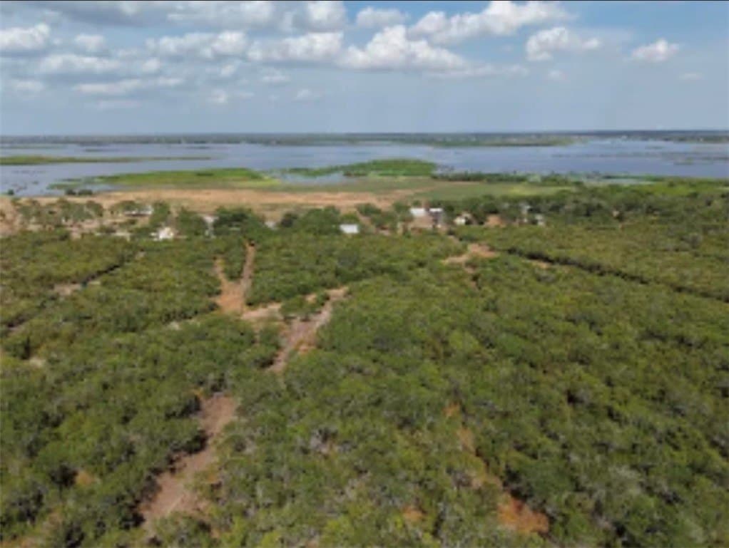 100,000 acres in Live Oak County - photo 34