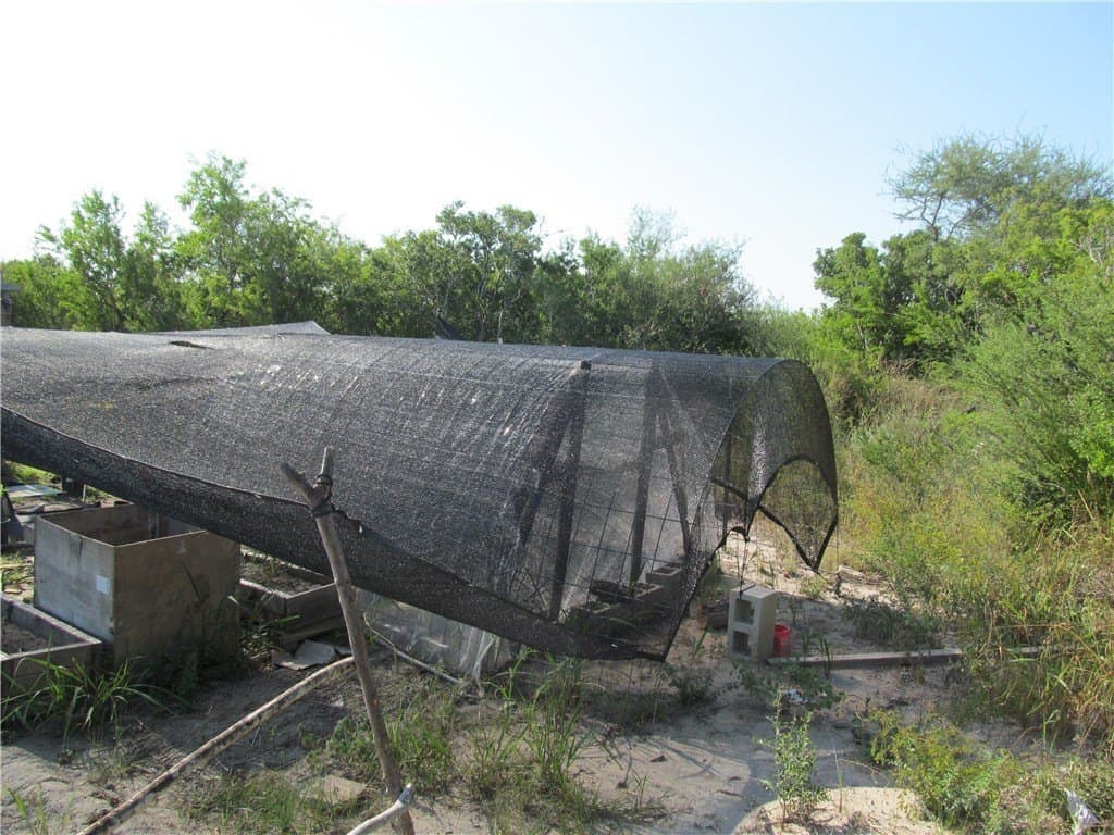 100,000 acres in Live Oak County - photo 29