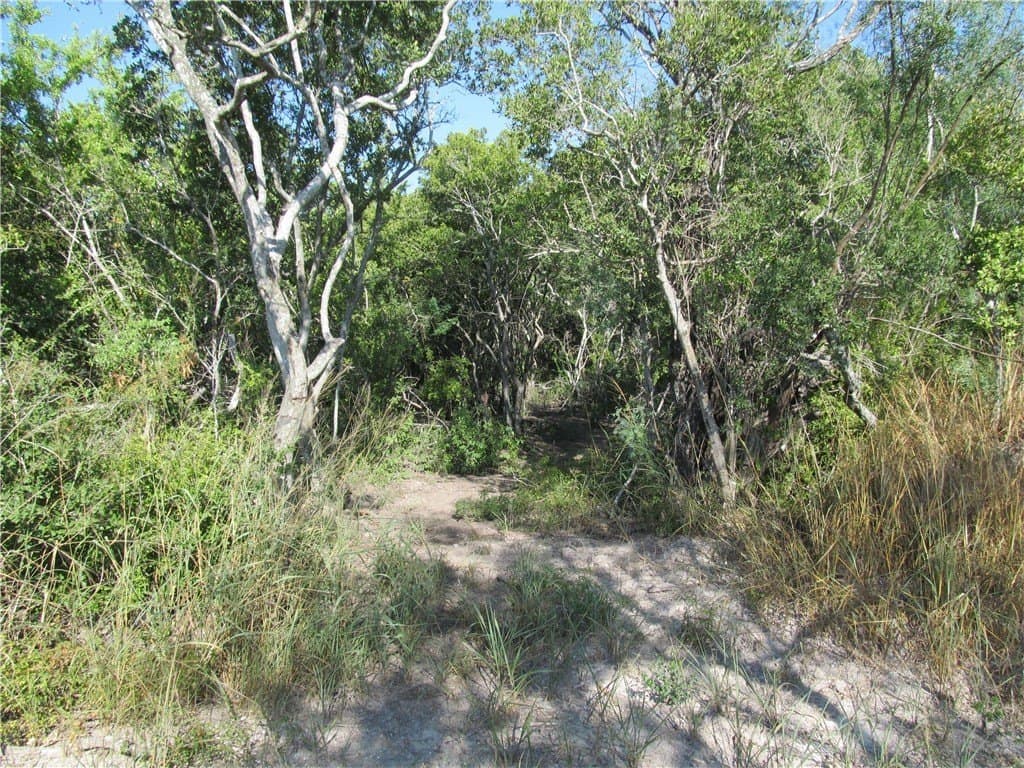 100,000 acres in Live Oak County - photo 30