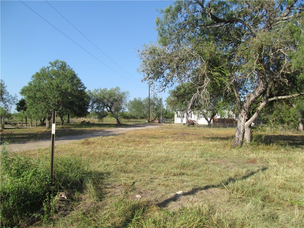 100,000 acres in Live Oak County - photo 3
