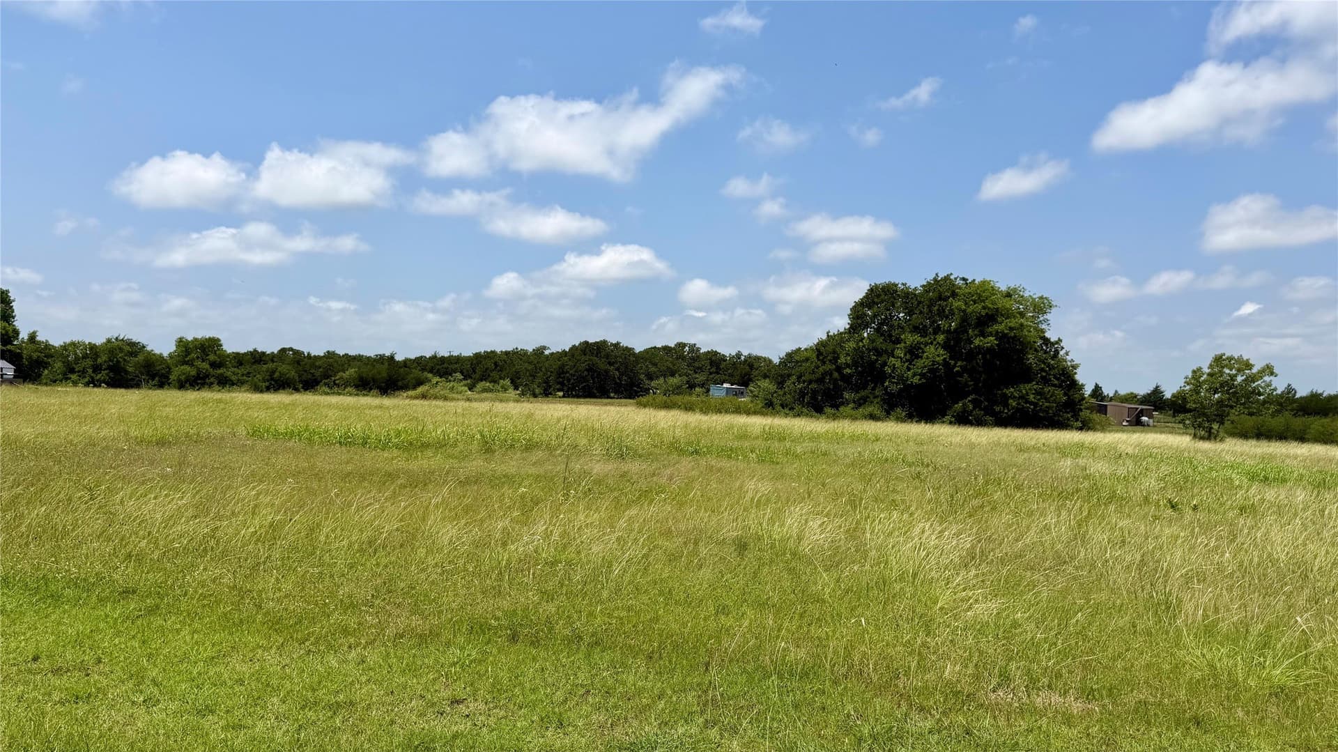 5.5 acres in Montague County - photo 14