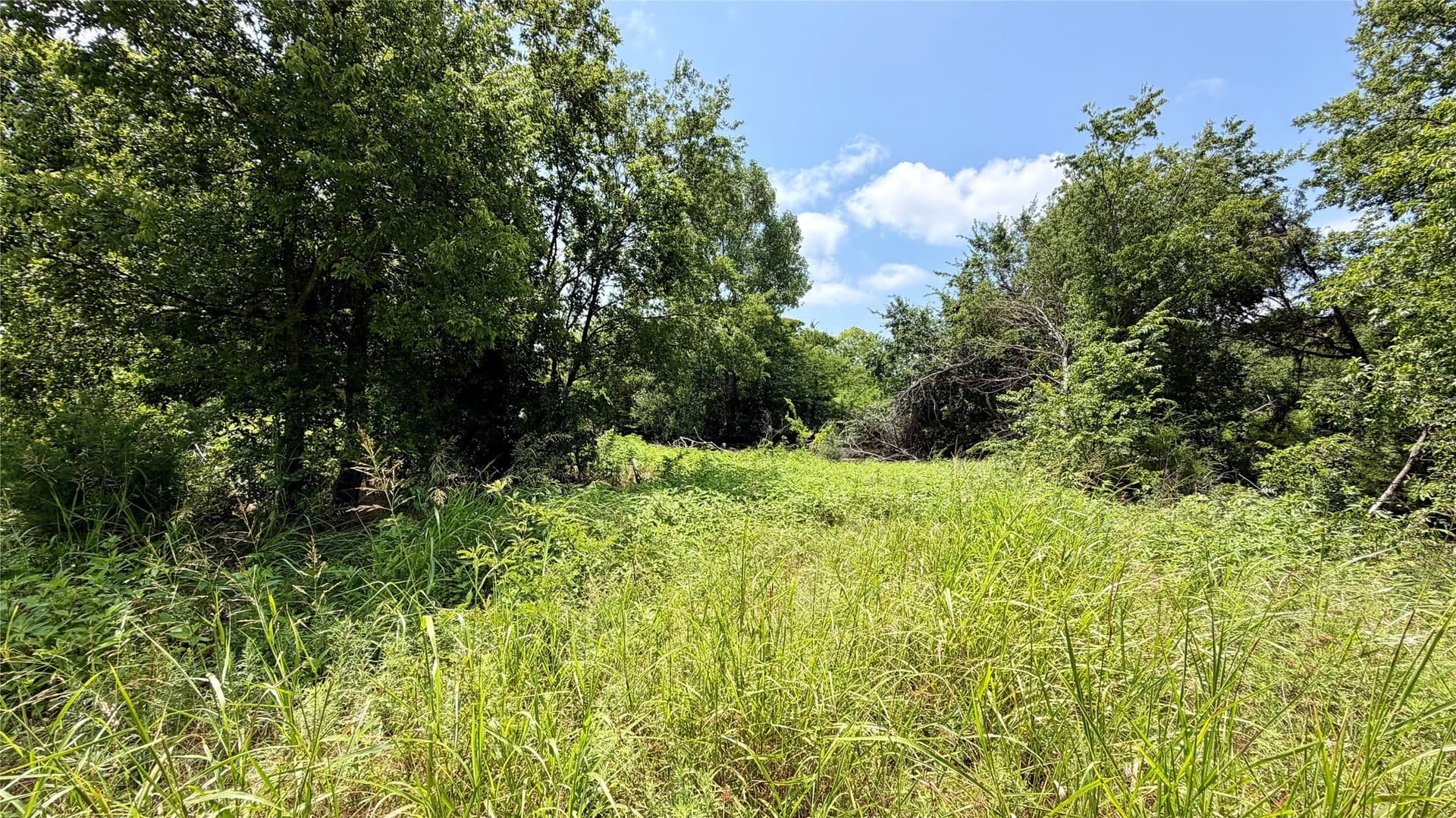 5.5 acres in Montague County - photo 12