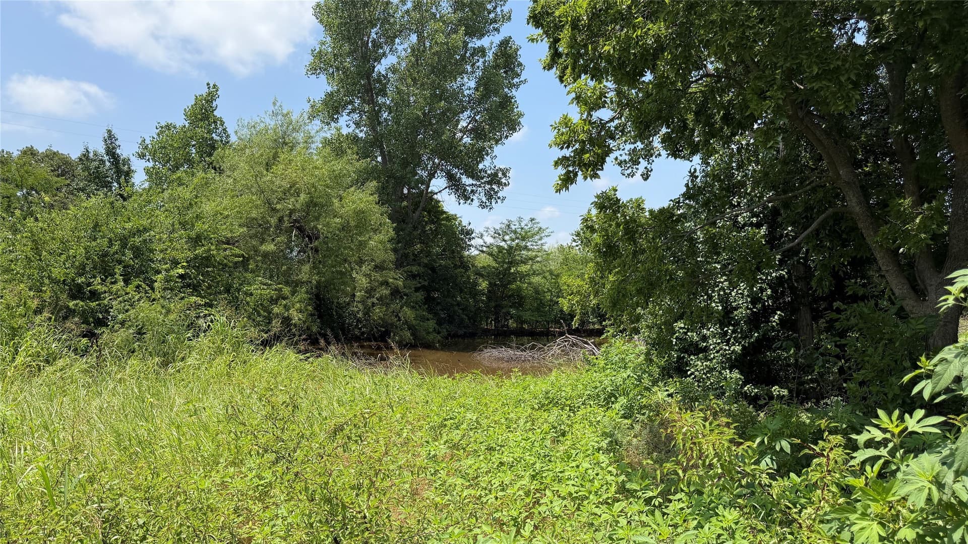 5.5 acres in Montague County - photo 6