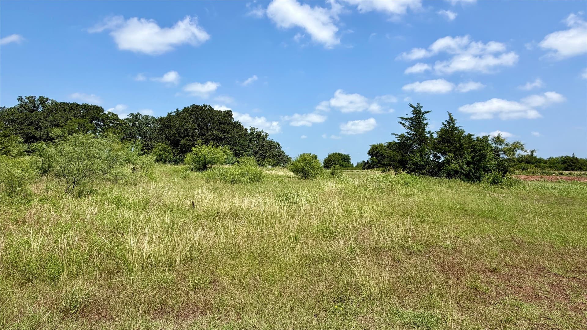 5.5 acres in Montague County - photo 8
