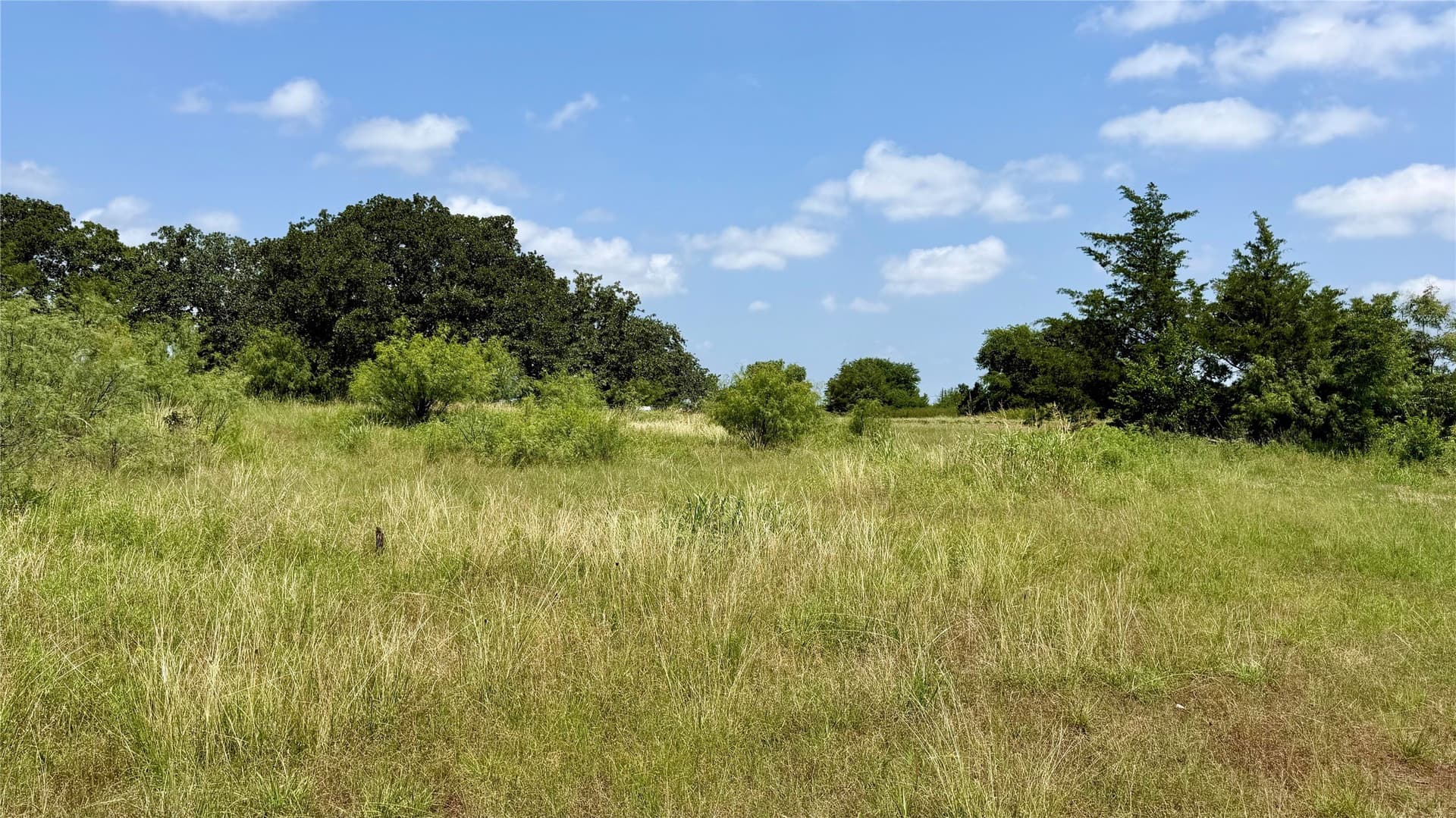5.5 acres in Montague County - photo 7