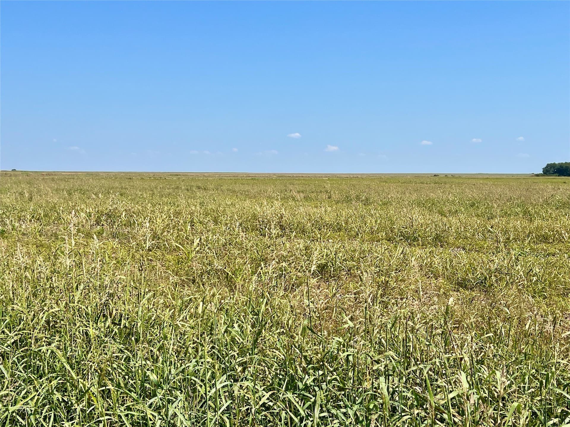 104.88 acres in Ellis County - photo 6