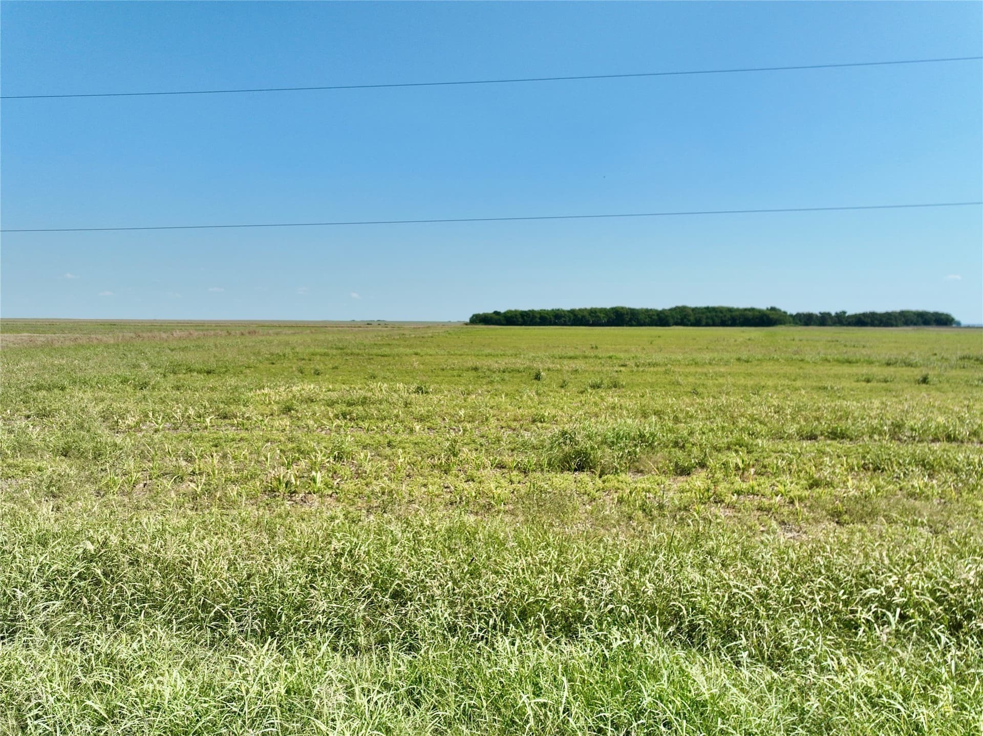 104.88 acres in Ellis County - photo 7