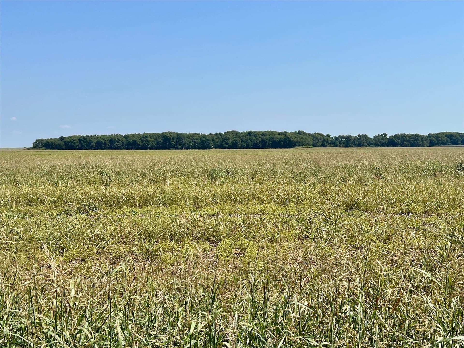 104.88 acres in Ellis County - photo 8