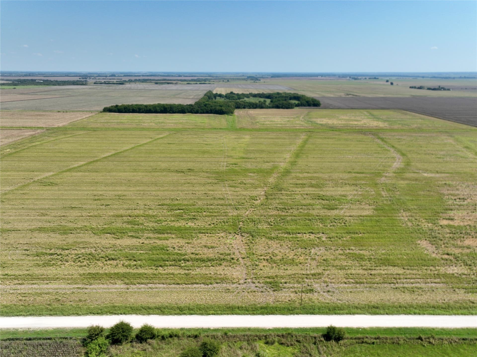 104.88 acres in Ellis County gallery image 4