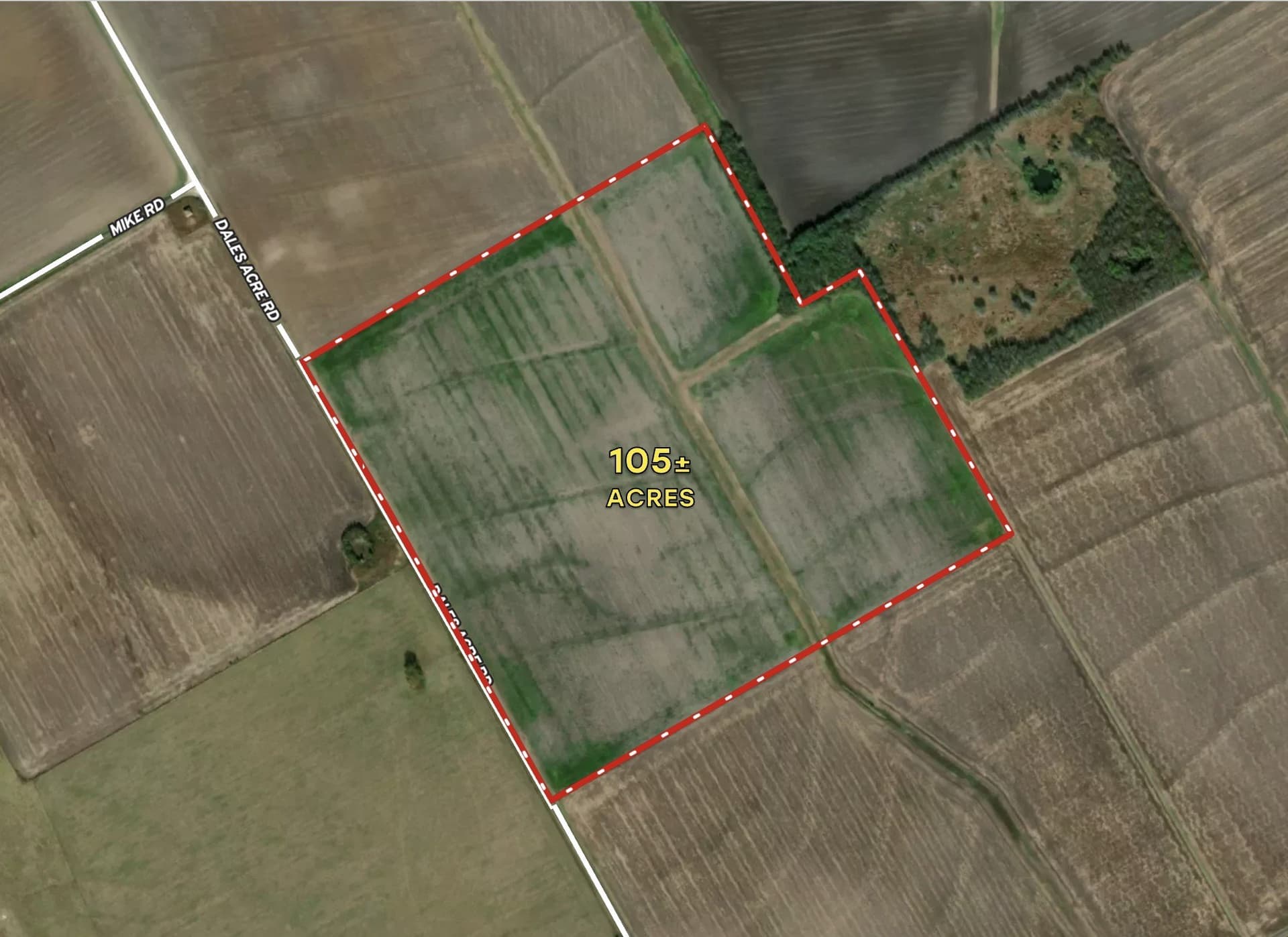 104.88 acres in Ellis County gallery image 3