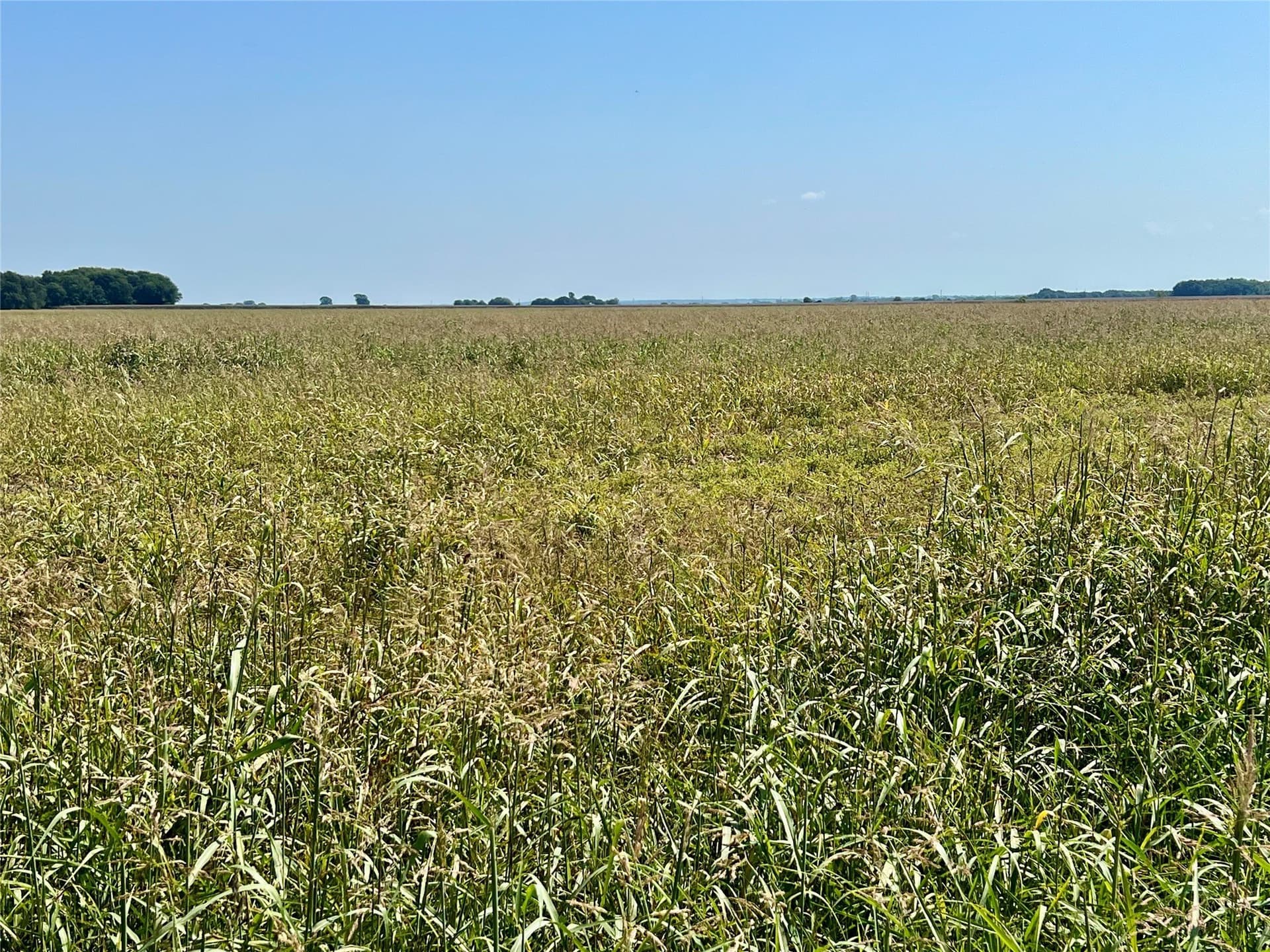 104.88 acres in Ellis County featured view