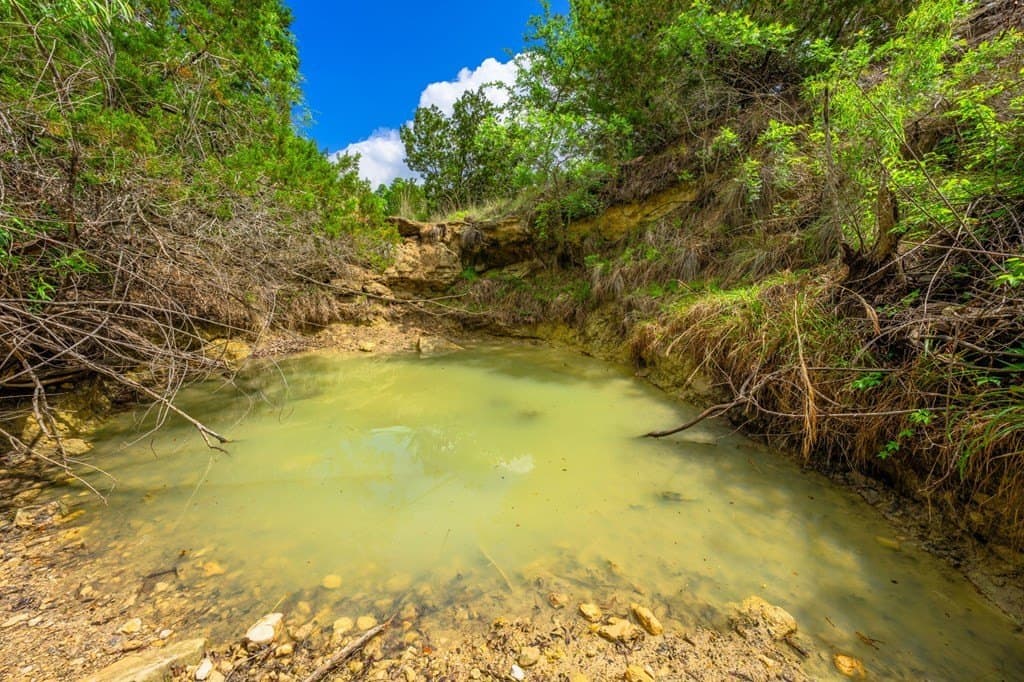 77.59 acres in Gillespie County - photo 22