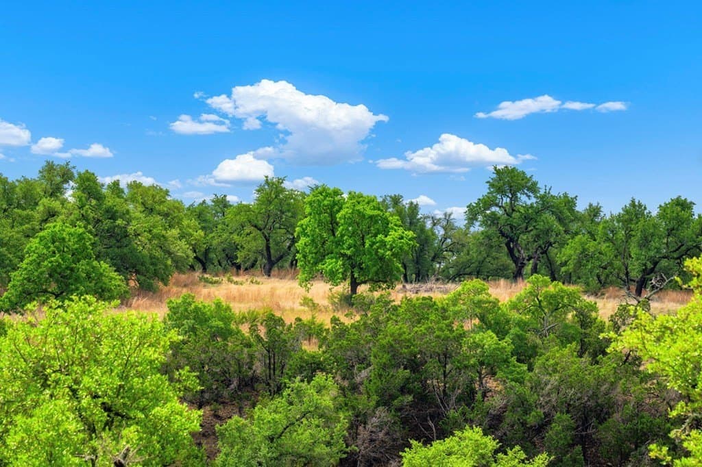 77.59 acres in Gillespie County - photo 11