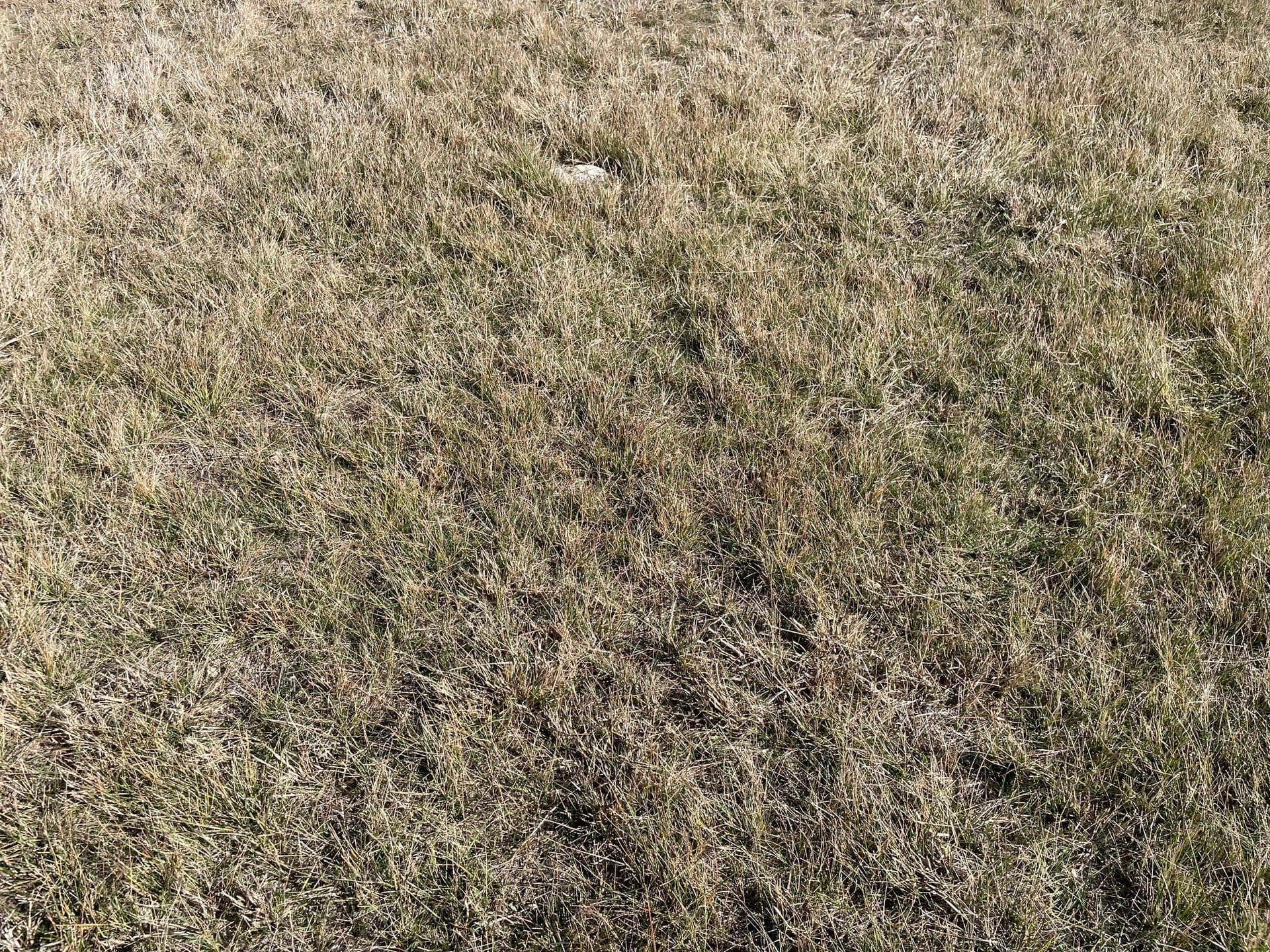 3.25 acres in Coryell County - photo 5