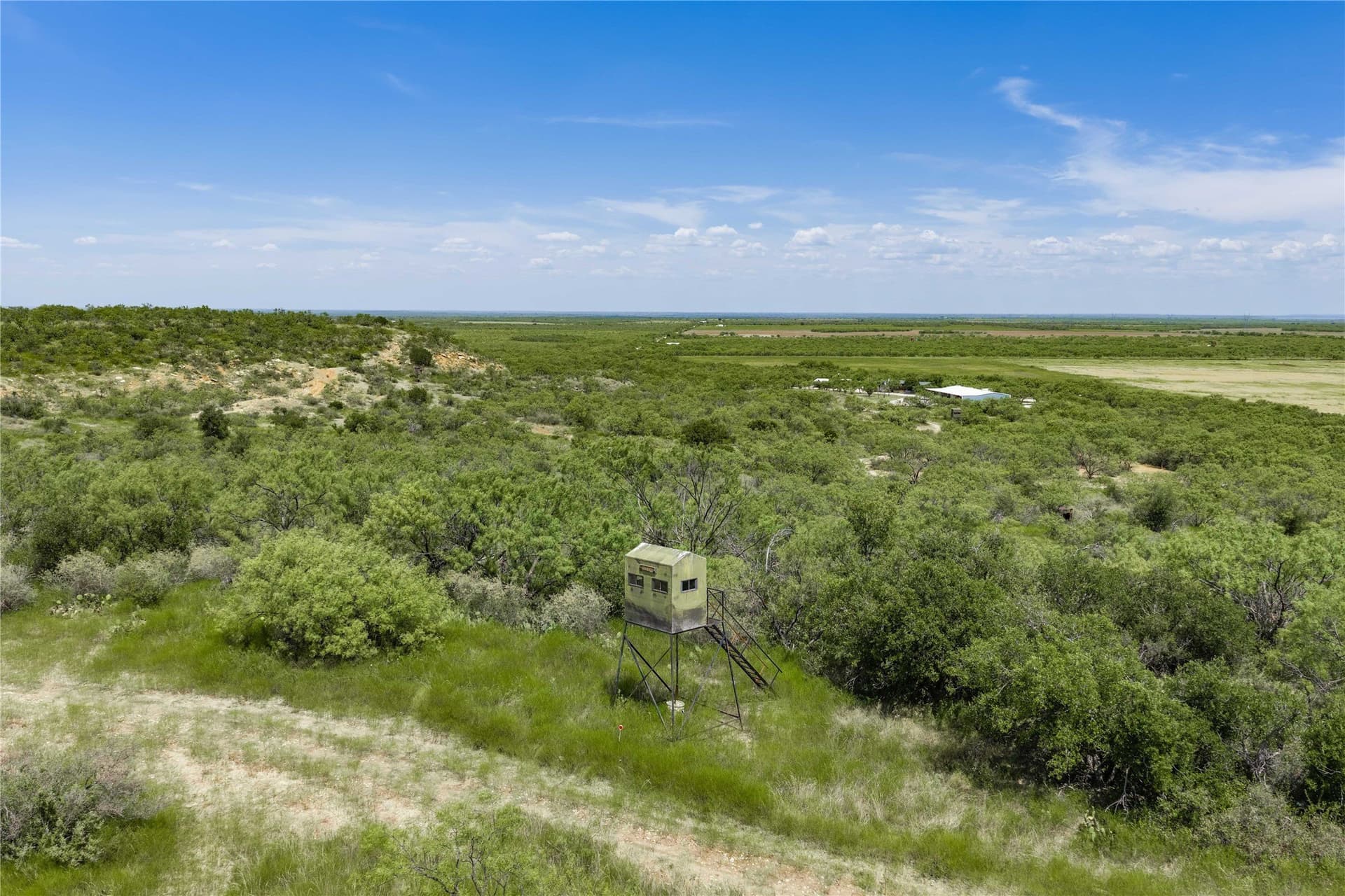 127 acres in Coleman County - photo 7