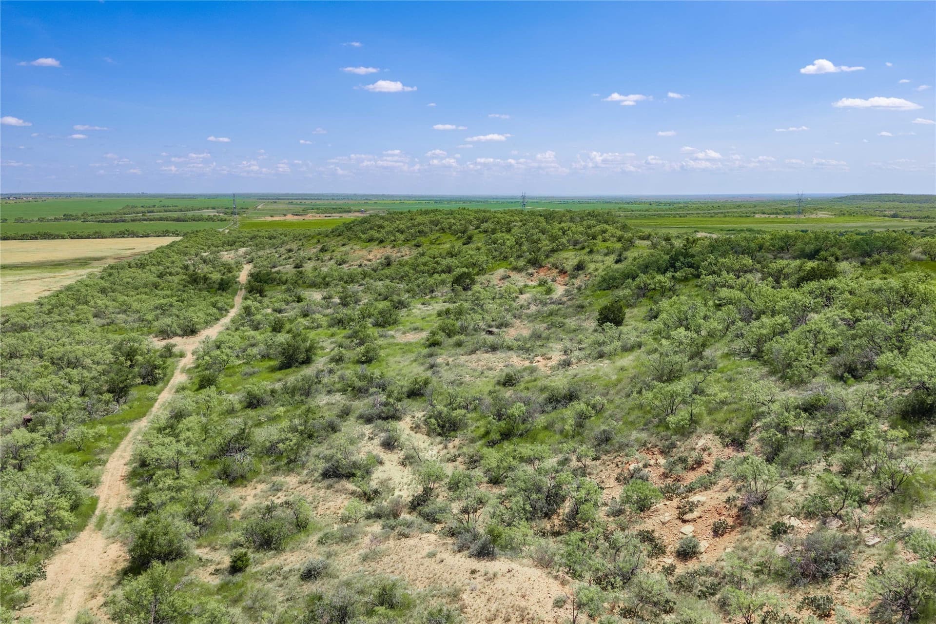 127 acres in Coleman County - photo 4