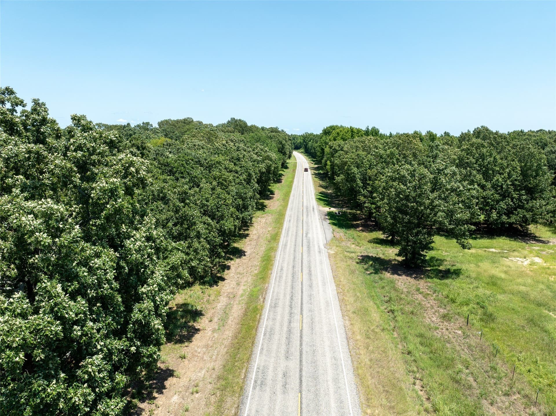 5 acres in Lamar County - photo 3