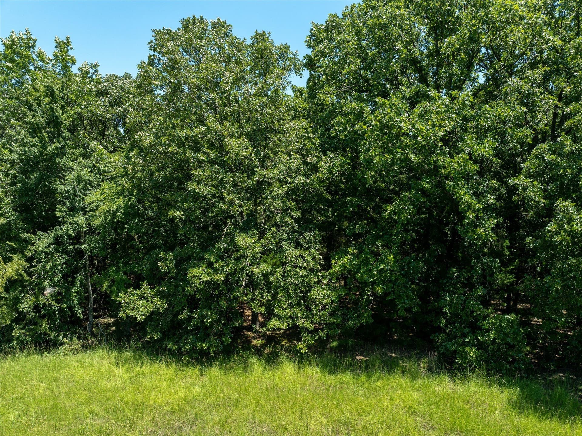 5 acres in Lamar County - photo 15