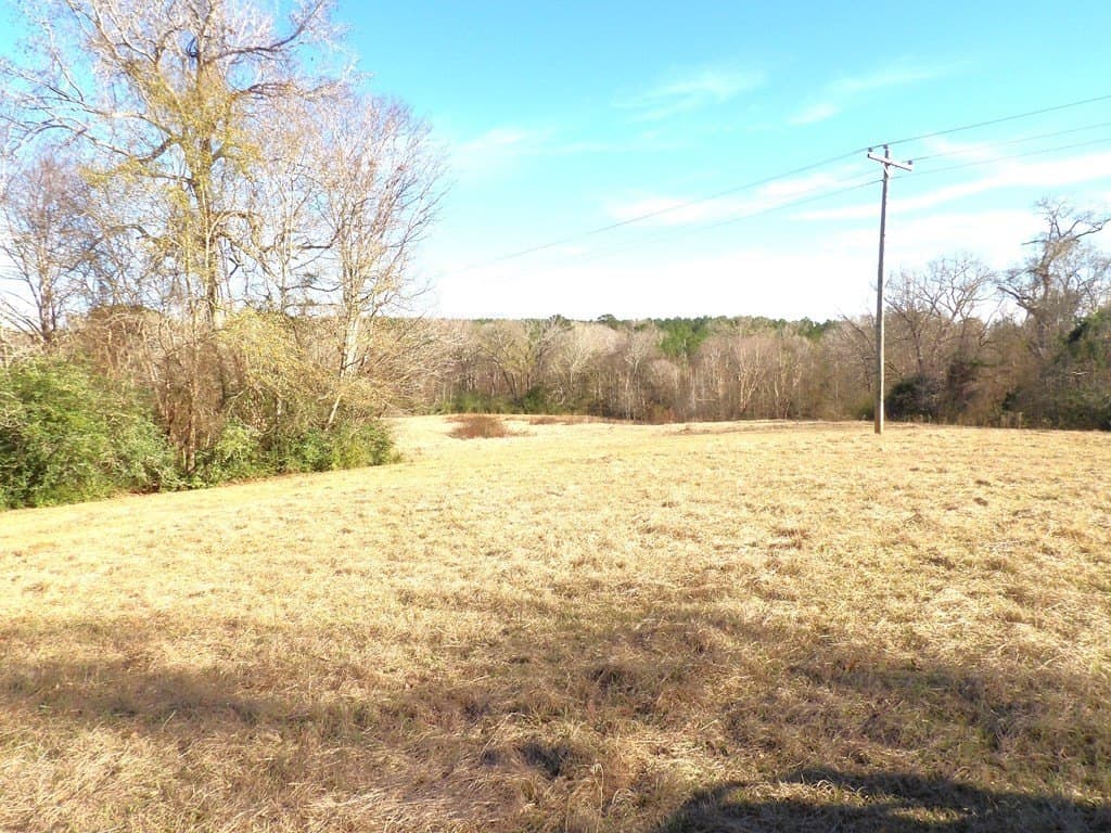156.05 acres in Texas County - photo 6