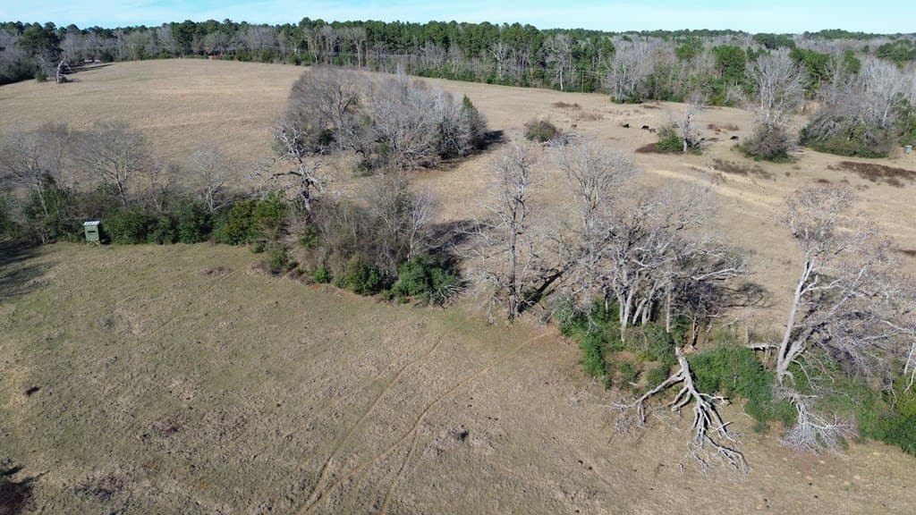 156.05 acres in Texas County - photo 21