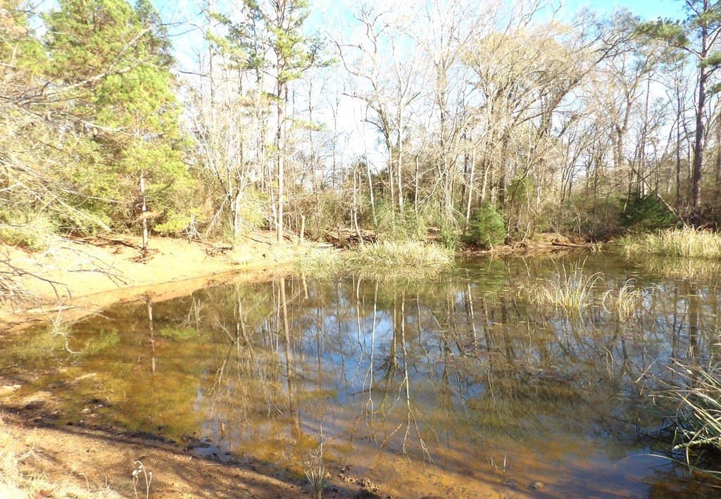 156.05 acres in Texas County - photo 7