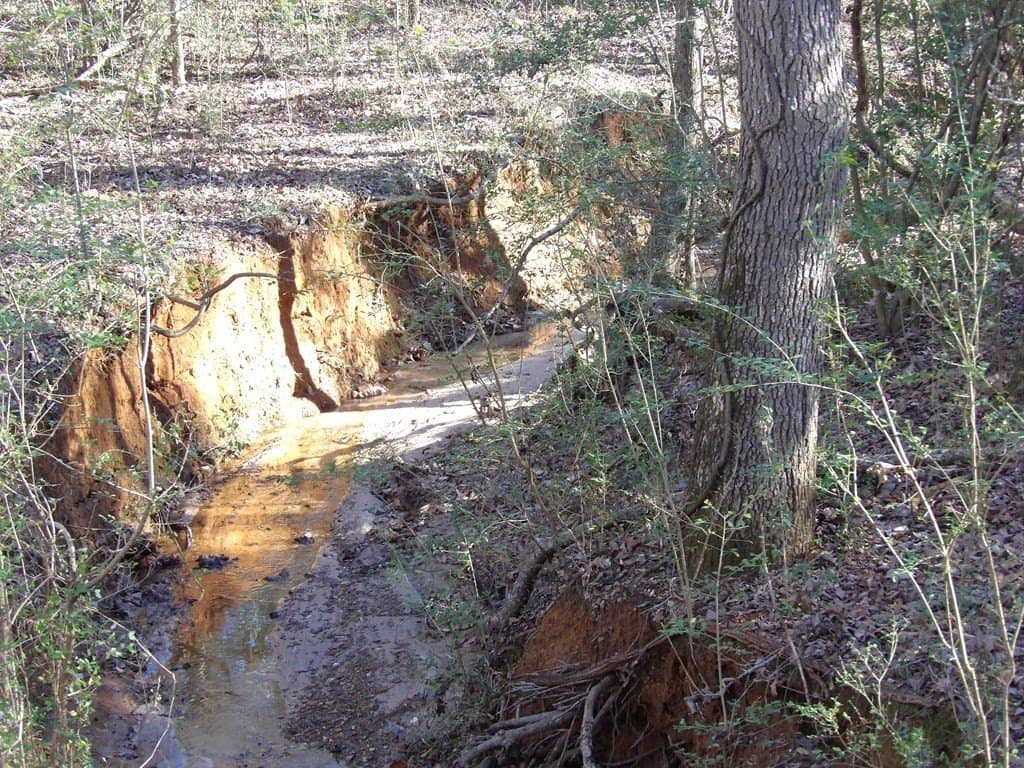 156.05 acres in Texas County - photo 11