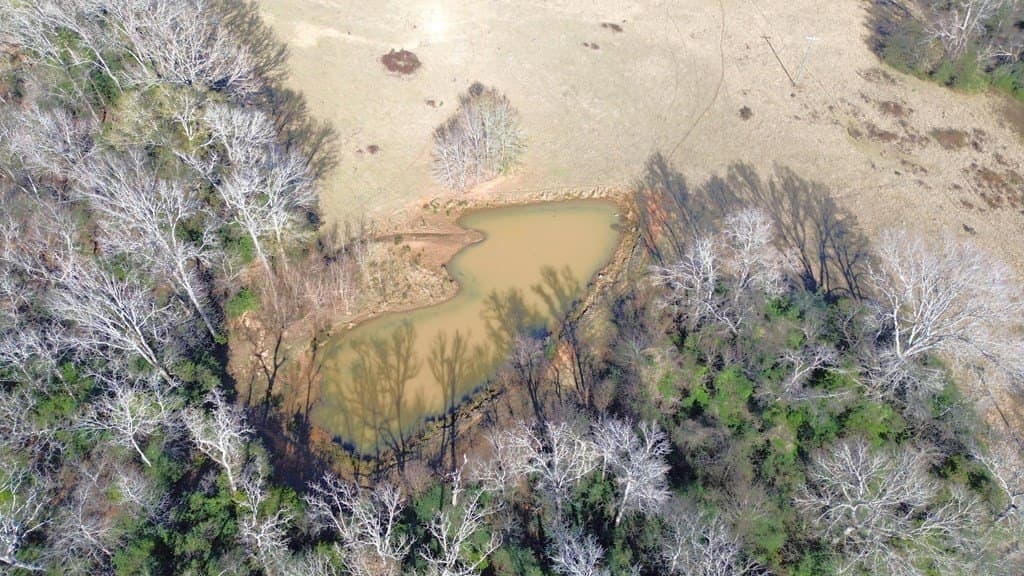 156.05 acres in Texas County - photo 4
