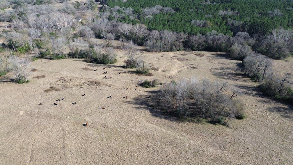 156.05 acres in Texas County - photo 19