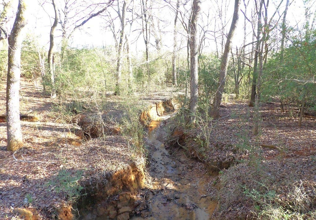 156.05 acres in Texas County - photo 10