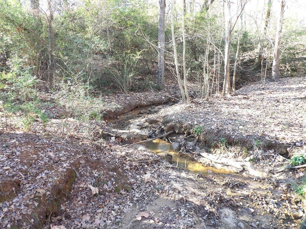 156.05 acres in Texas County - photo 9