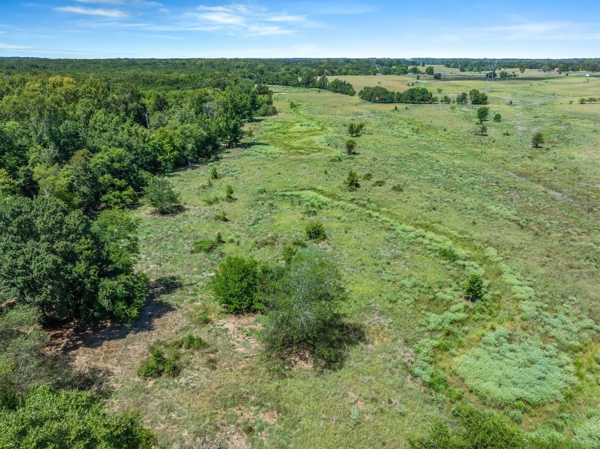 81.46 acres in Van Zandt County - photo 13