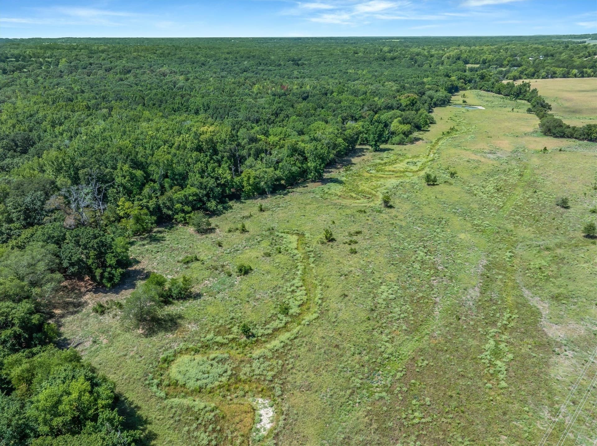 81.46 acres in Van Zandt County - photo 14