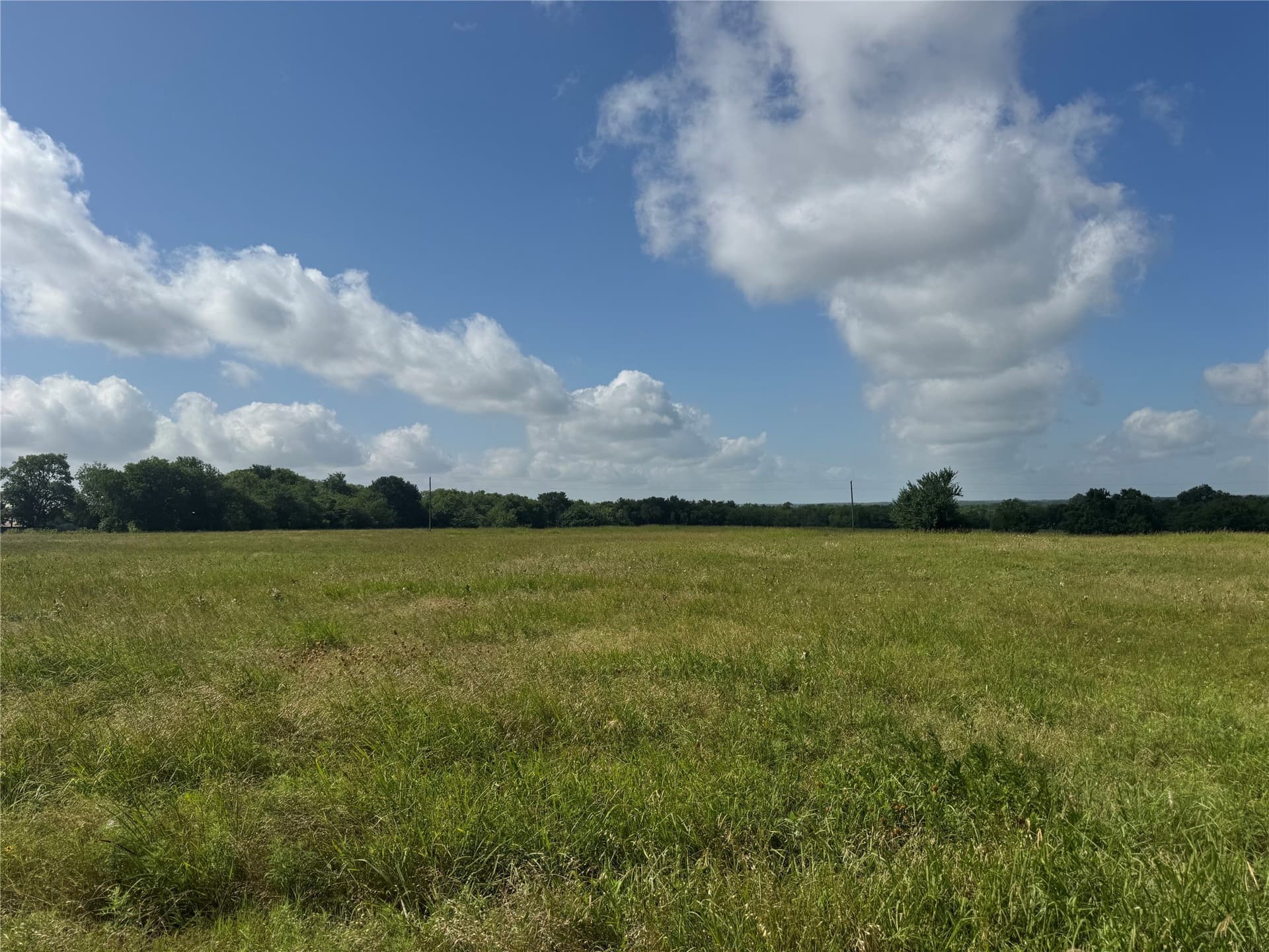 34.13 acres in Fannin County - photo 10