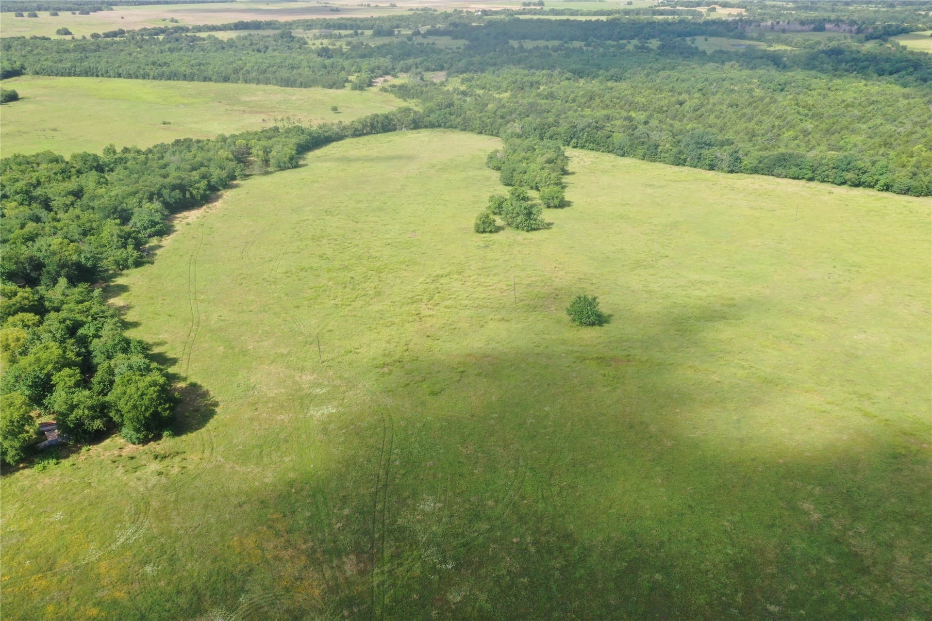 34.13 acres in Fannin County - photo 4