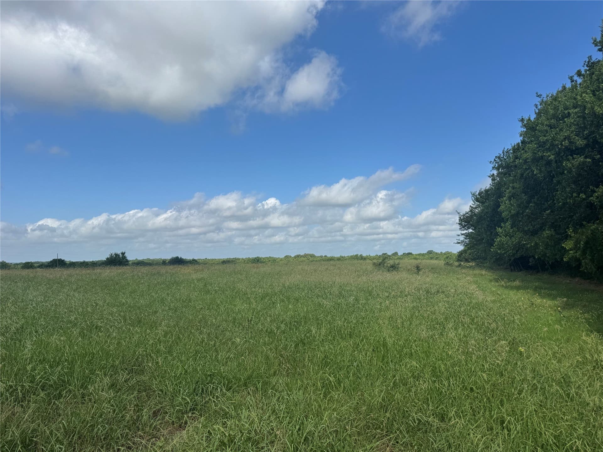 34.13 acres in Fannin County - photo 6