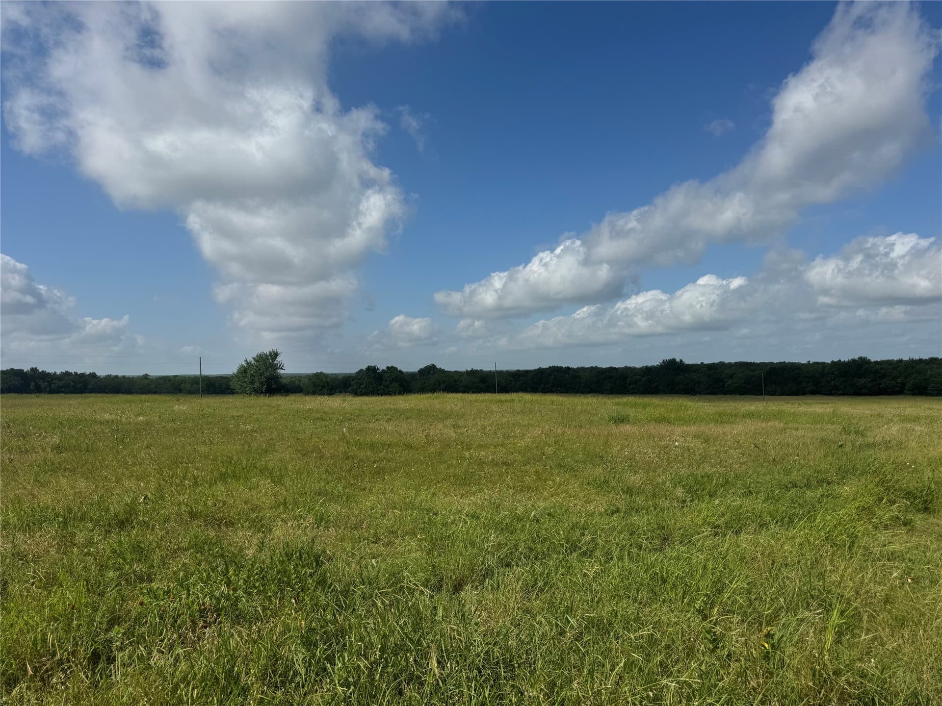 34.13 acres in Fannin County - photo 9