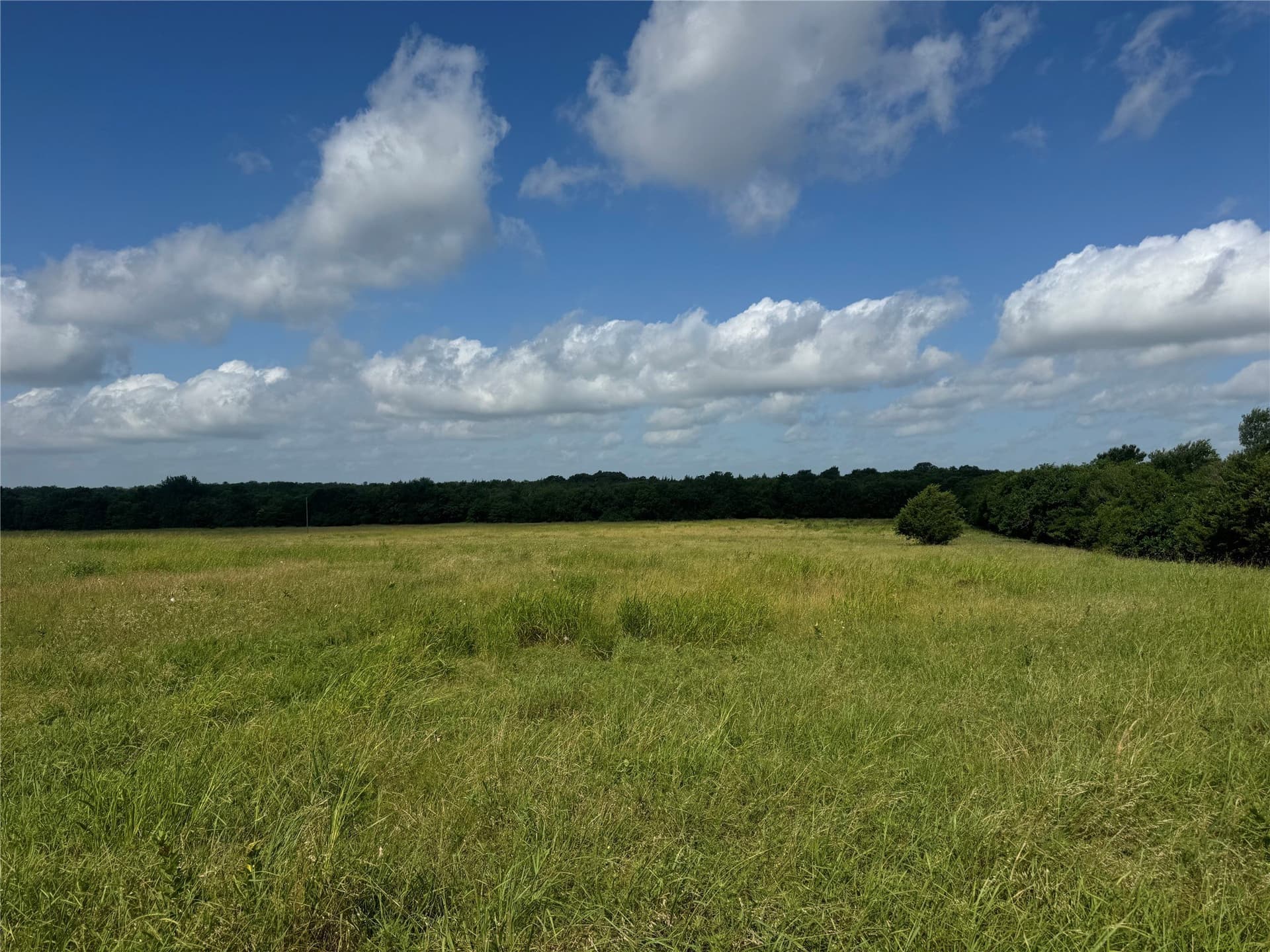 34.13 acres in Fannin County - photo 8