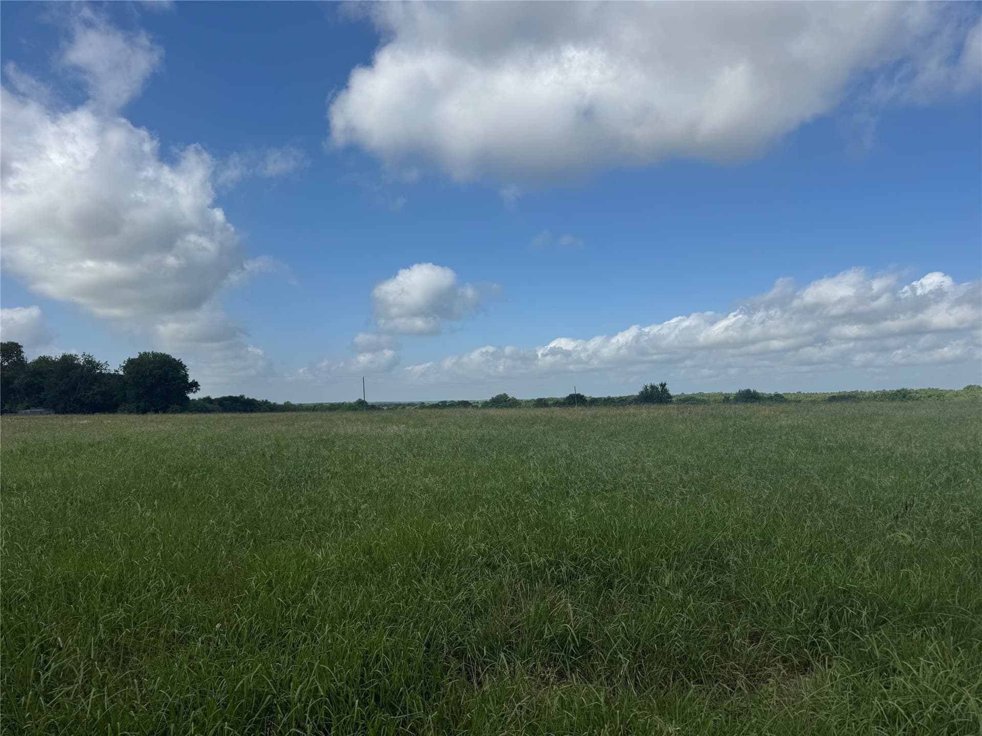 34.13 acres in Fannin County - photo 7