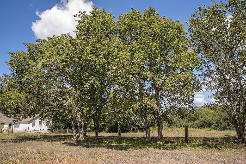 1.07 acres in Washington County - photo 2