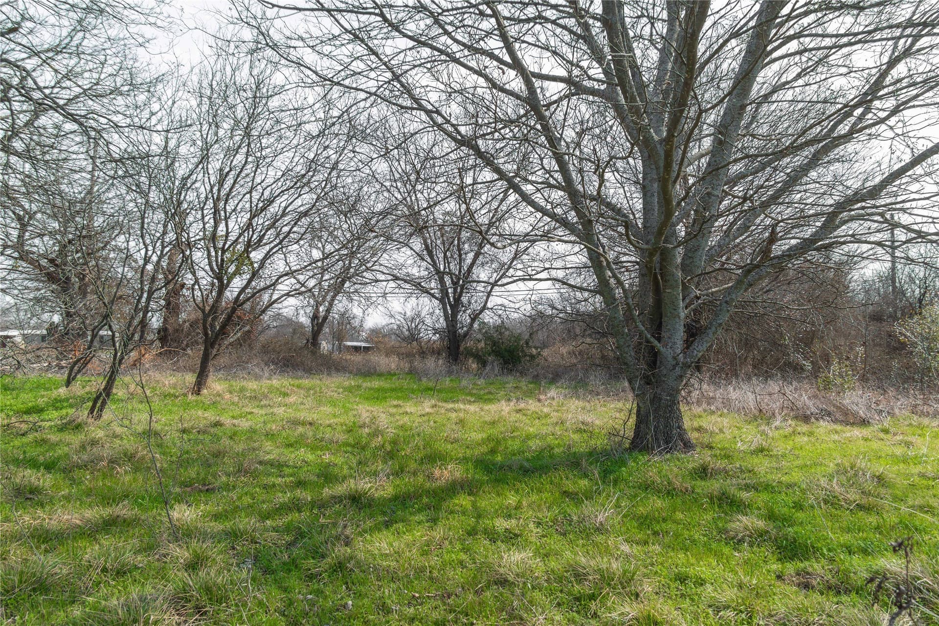 4 acres in Comanche County - photo 6