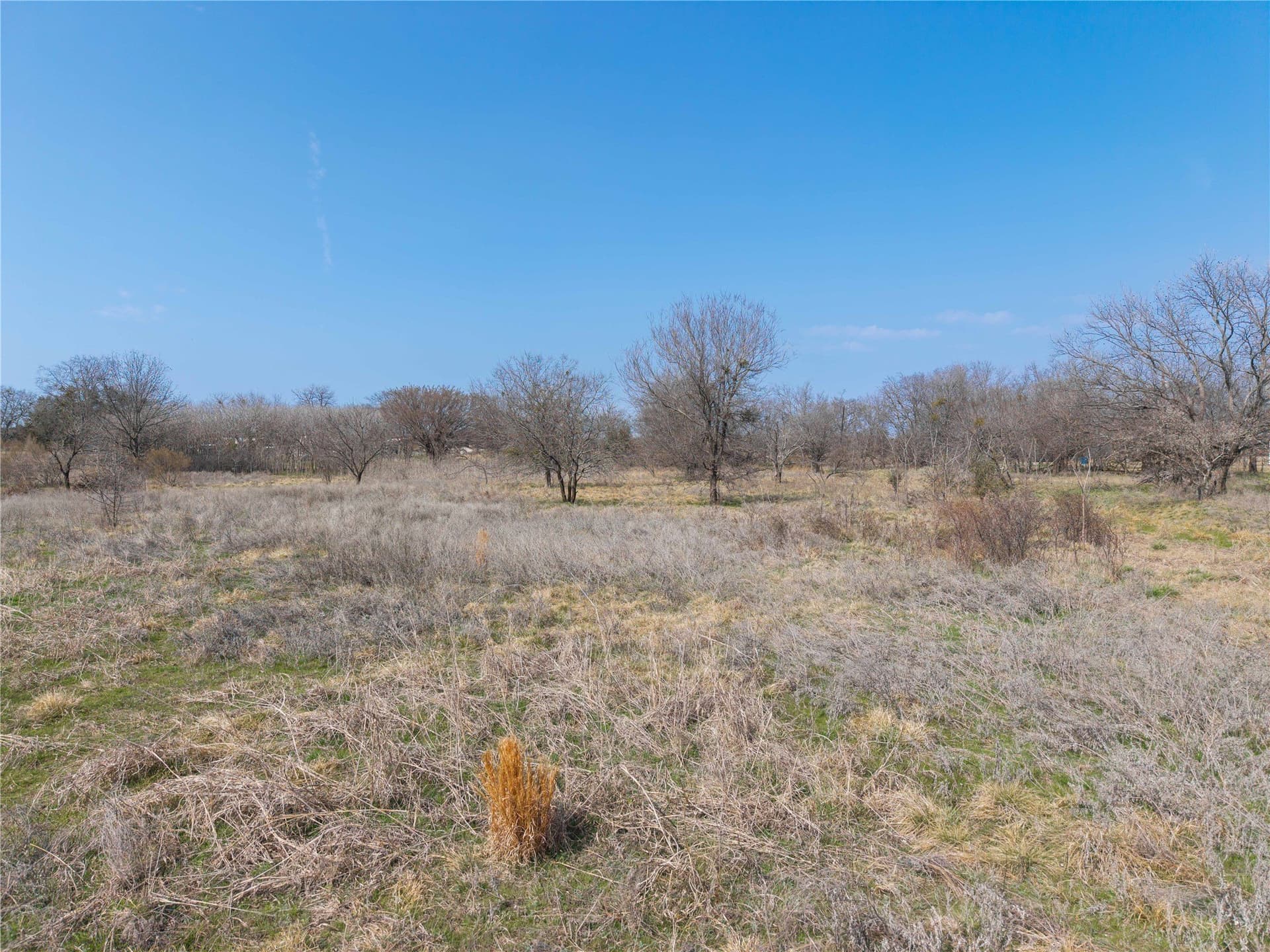 4 acres in Comanche County gallery image 4