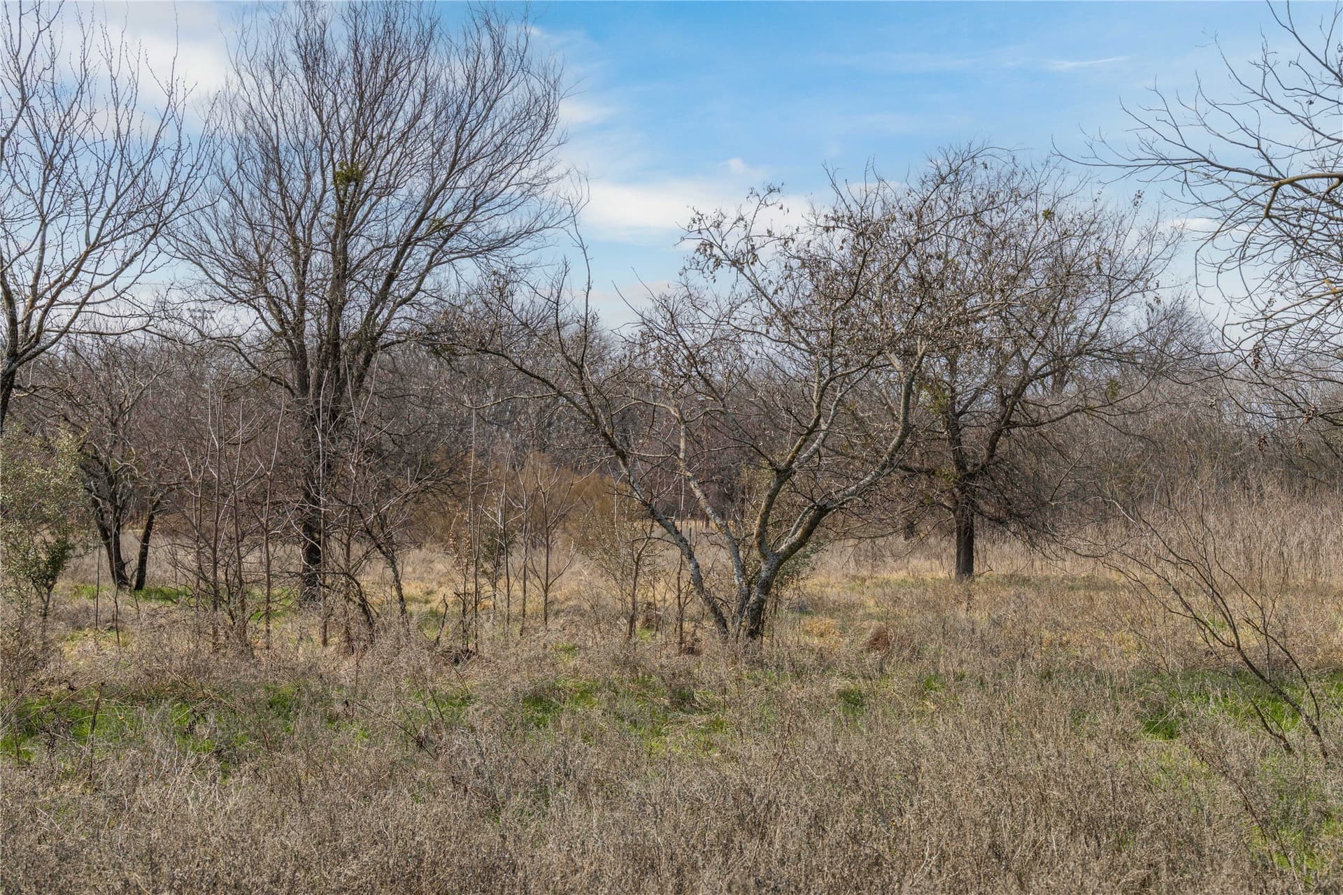 4 acres in Comanche County - photo 12