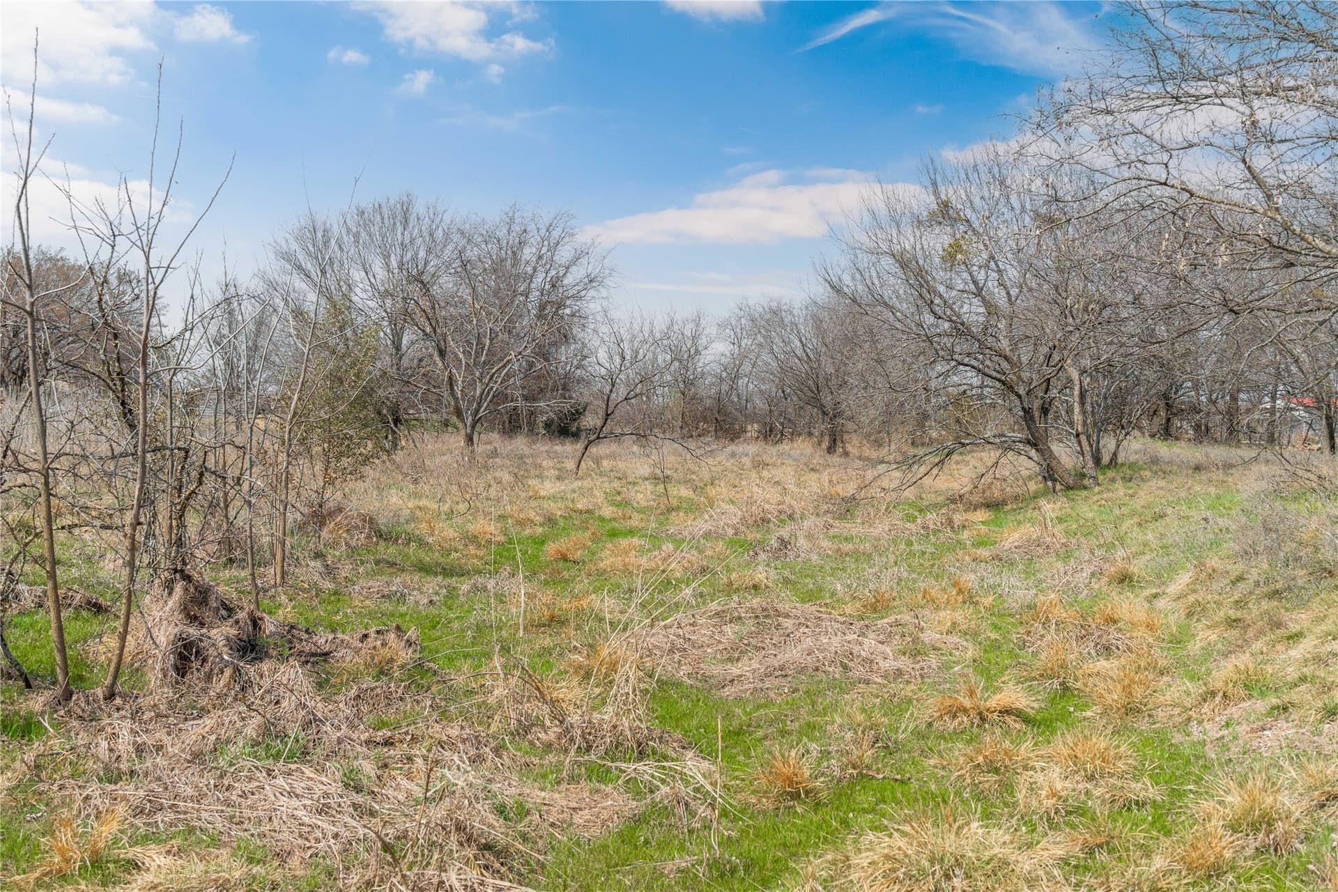 4 acres in Comanche County - photo 13